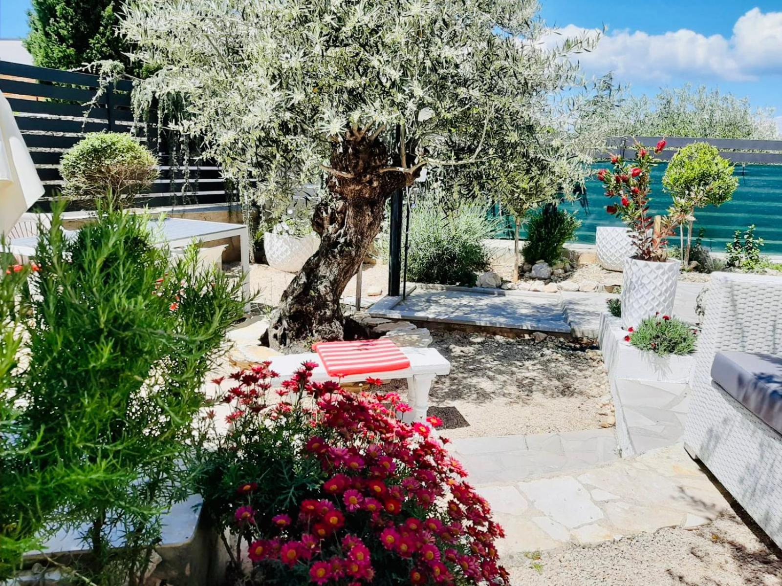 Villa Evamar, Island Krk Punat Eksteriør bilde